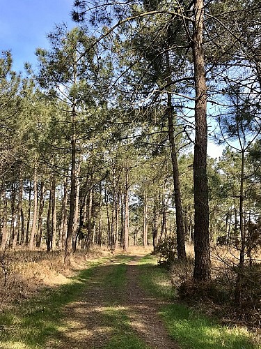 landes-1-margauxchoquet