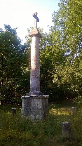 Foret des 4 Piliers - Rond-Point de la Croix Blanche