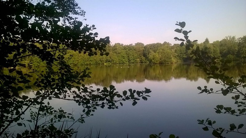 Foret des 4 Pilliers - Etang de la Pimardière