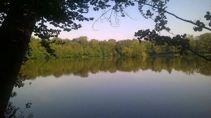 Foret des 4 Pilliers - Etang de la Pimardière