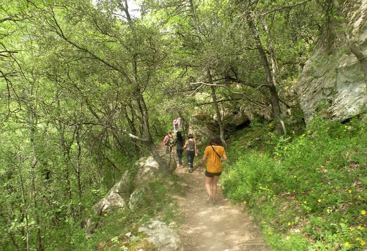 Sur les rives de l'Aiguebrun