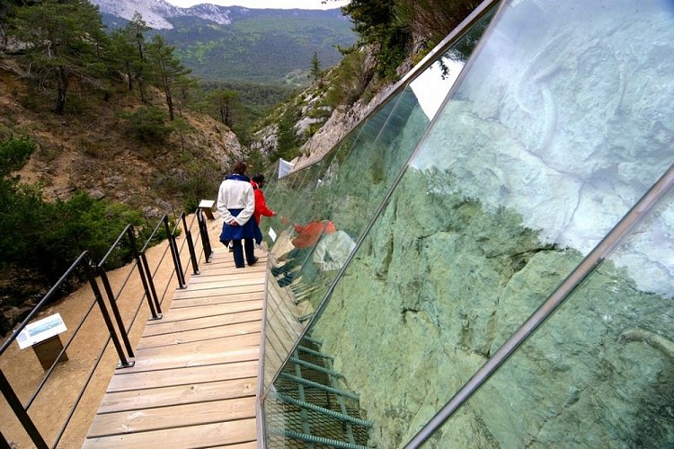 The Sirenians Trail - Route walk - Castellane | Cirkwi