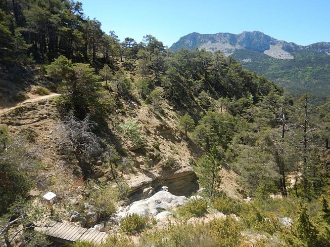 The Sirenians Trail - Route walk - Castellane | Cirkwi