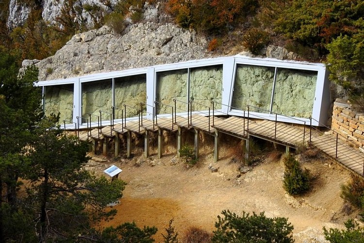 The Sirenians Trail - Route walk - Castellane | Cirkwi