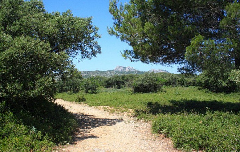 Vue sur le mont Castellas