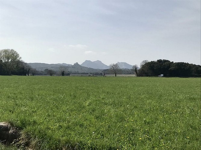 LAMANON - La plaine paysanne de la Durance en gravel