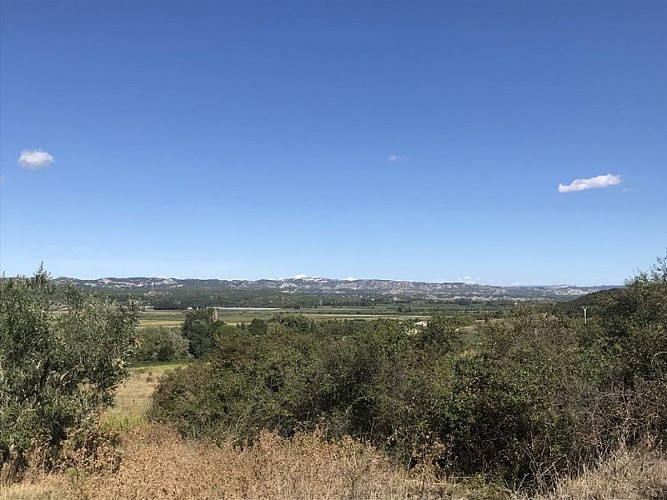 Vue depuis la Crau sur le massif des Alpilles