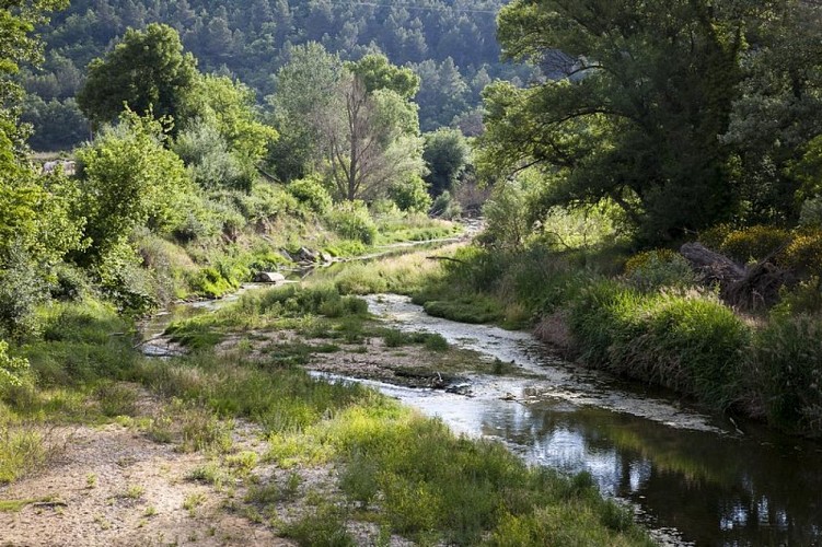 Le Calavon-Coulon