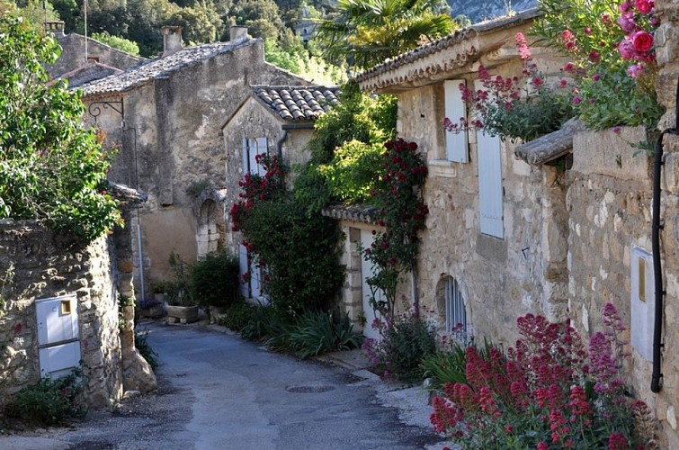 Le Vieil Oppède