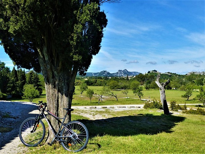 Un paysage de Provence
