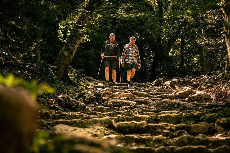 Descente sur le chemin du canapé