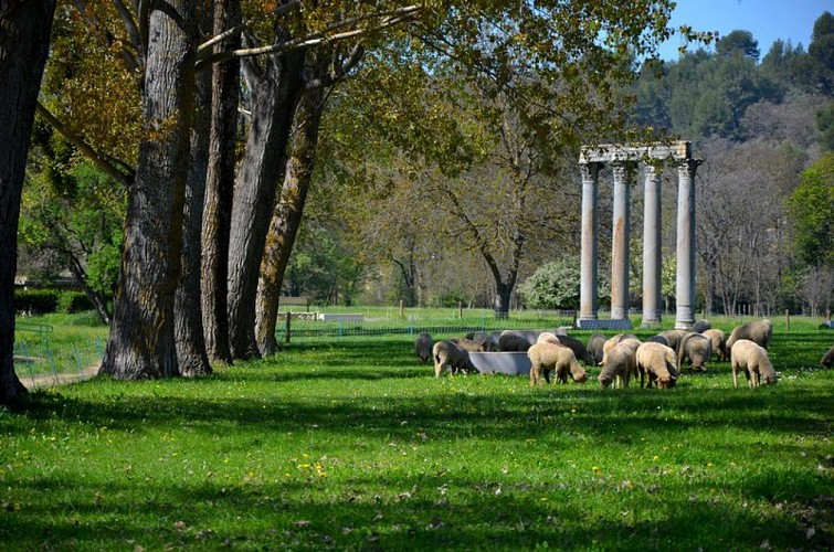 A l'ombre des colonnes