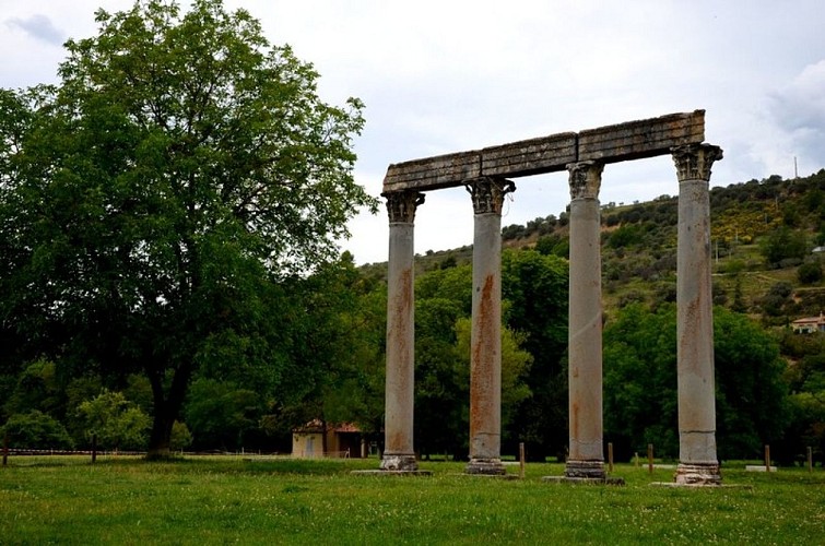 Les colonnes