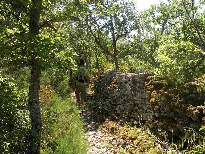 Sentier de la Gardette bordé de murs en pierre sèche