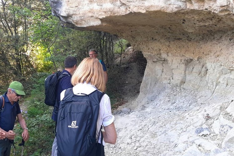 Molasse, galets et sables verts en chemin