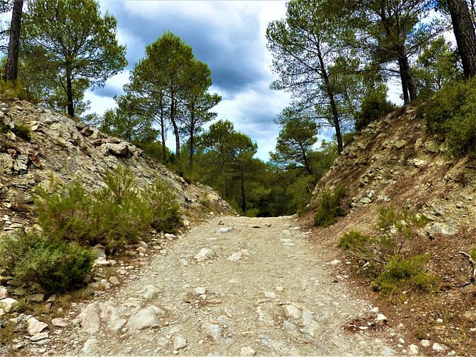 Chemin de la DFCI