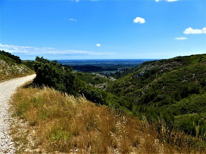 Vue sur la plaine de la Crau