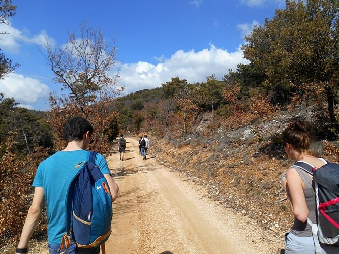 Piste des Romanes