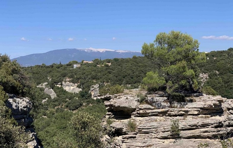 Vue sur le Ventoux