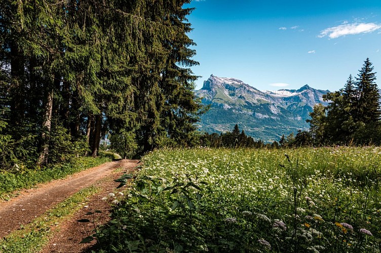 boucle pédestre Alpages de Prapacot et de Planset_Combloux