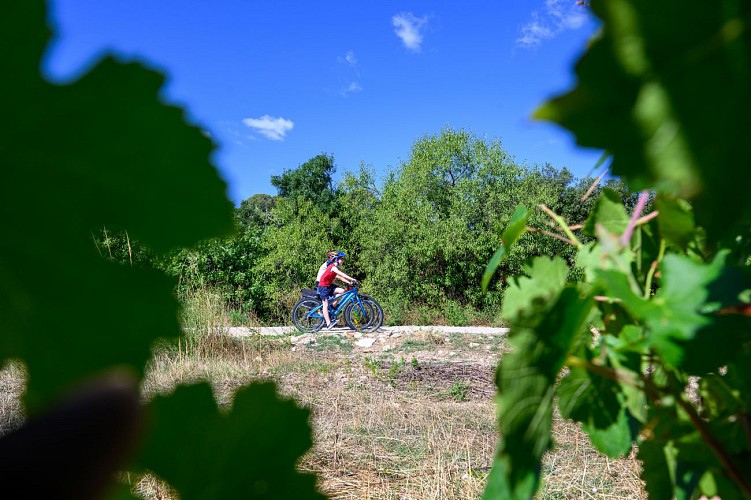 H_Oenovelo 2_Pont du diable_Gorges Herault-23