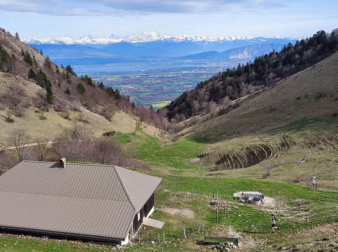 Wandern und Trekking : La Petite Marche Populaire de Gex_Gex