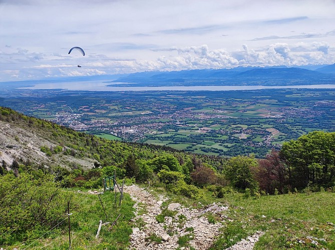 Wandeltocht : La Petite Marche Populaire de Gex_Gex