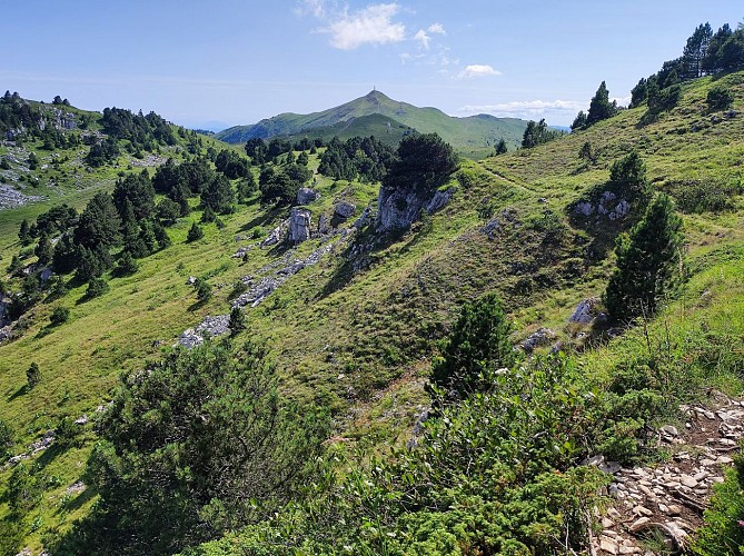 Wandelen: Thoiry en Molie en de Hauts Sommets_Thoiry