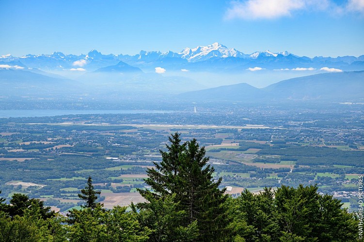 Walking : The Lynx trail_Crozet