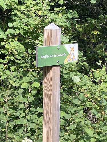 Walking : The Lynx trail_Crozet