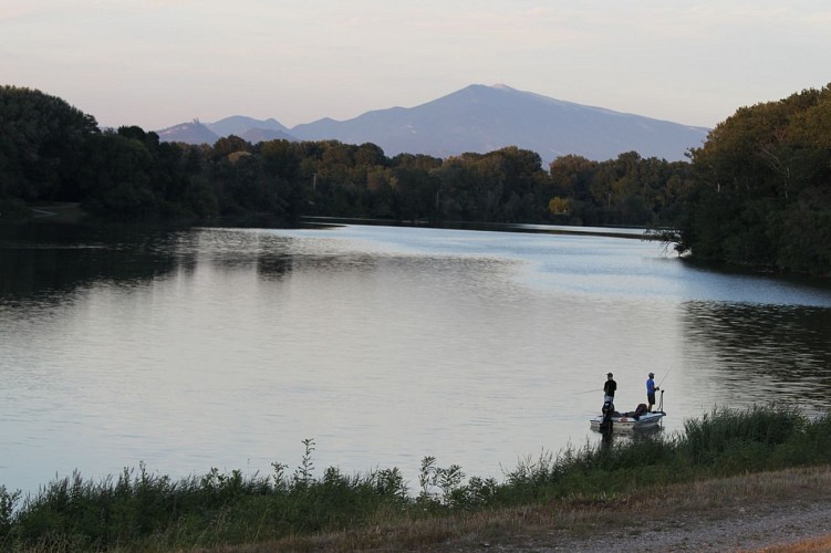 7 - From Orange to Caderousse - from Roman city to the Green Island of the Rhône- N°7