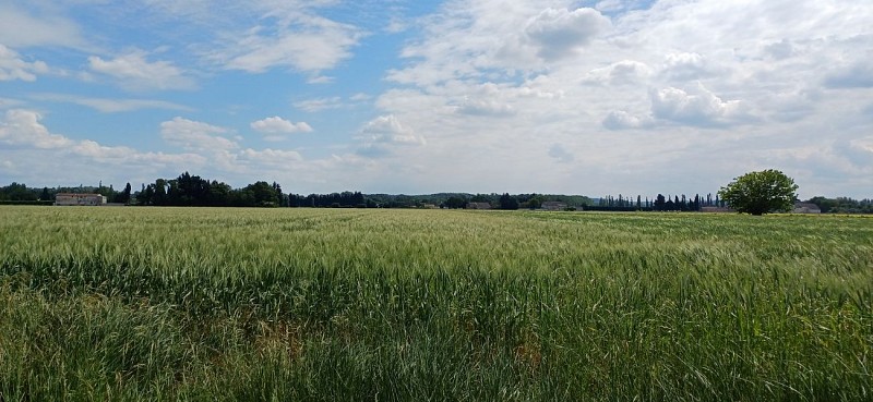 7 -  D'Orange à Caderousse_Orange