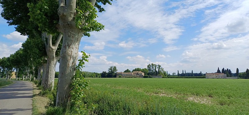 7 -  D'Orange à Caderousse_Orange