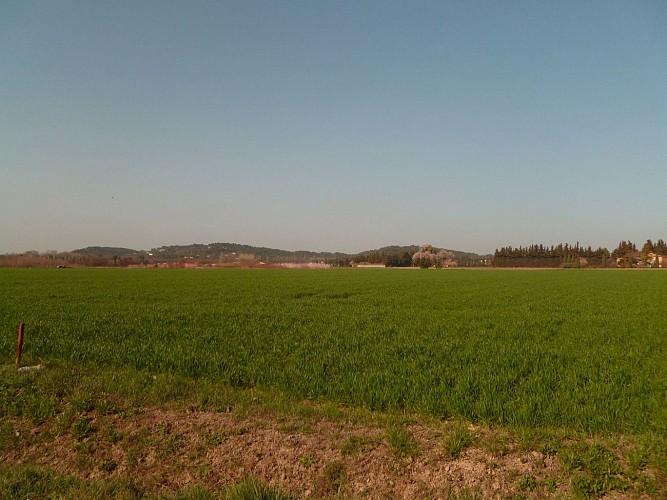 6 - Von Orange nach Serignan du Comtat