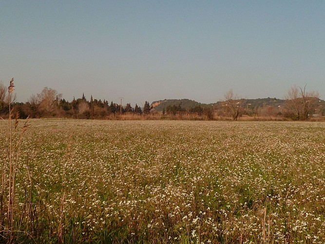 6 - Von Orange nach Serignan du Comtat