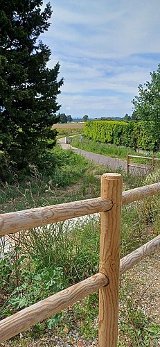 6 - Circuito en bici: De Orange a Sérignan-du-Comtat_Orange