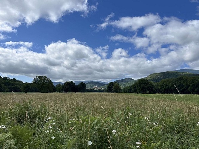 L'apparition de la cathédrale de Saint-Bertrand-Comminges