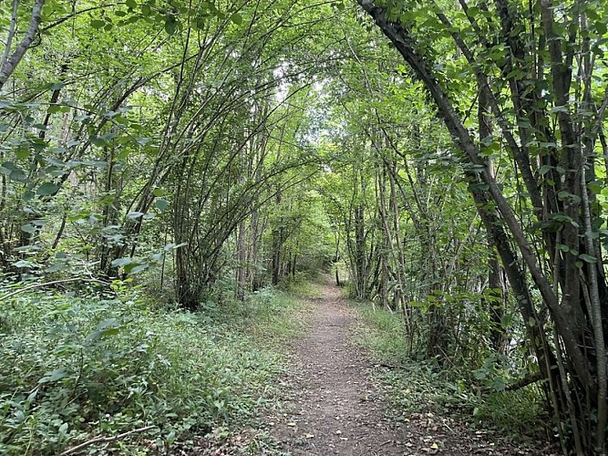 Le long de la Garonne