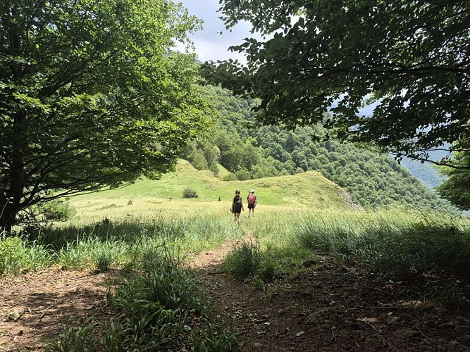 Petite clairière paisible