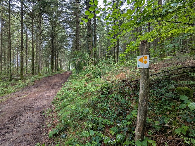 Chemin - La Turgotière VTT - Lacelle ©M Clavaud (1)