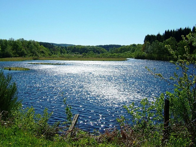 Boucle locale N°56 Pierre d'Aubusson et la vallée du Thaurion
