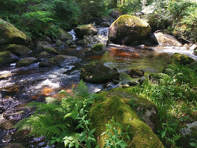 Boucle locale N°56 Pierre d'Aubusson et la vallée du Thaurion