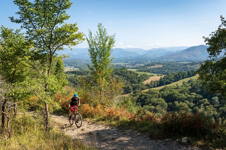 01 Laskaraia_Jonathan Cathala (3)