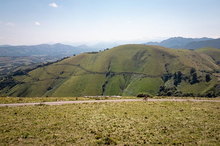 02 San_Antoni_Handia