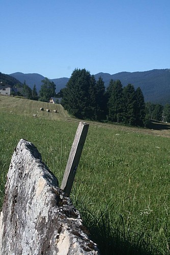Au fil des Lauzes de Méaudre, grüne Mountainbike-Route Nr. 2