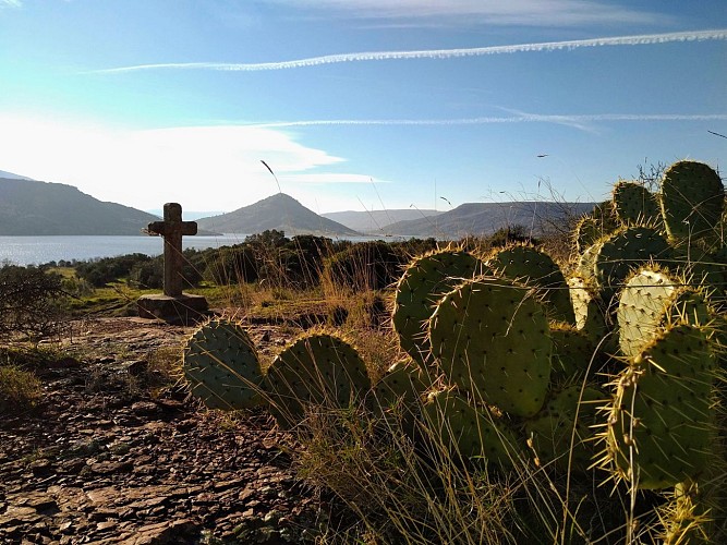 A Notre Dame des Clans © Gilles Delerue