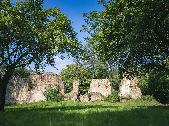 Trail au Vieux Saint-Aubert, Suisse Normande