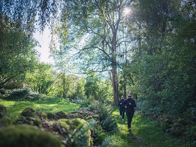 Trail en Suisse Normande