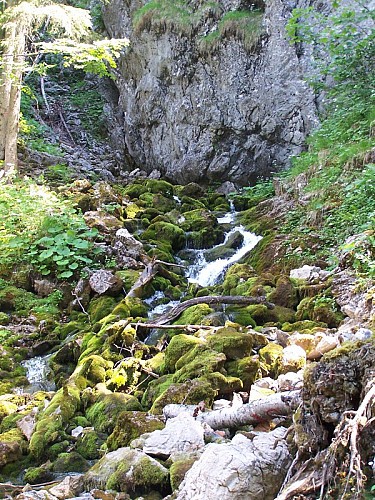 Circuit Trail 2 - Source du Brevon et lac de Pététoz