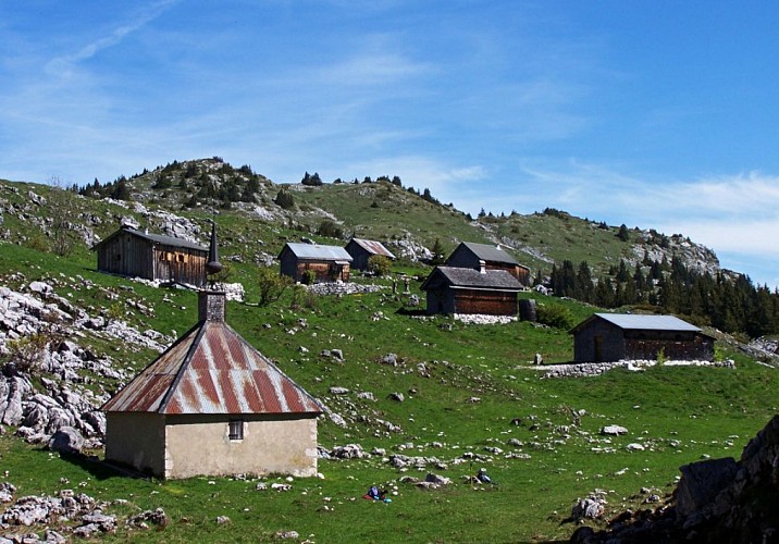 Circuit Trail 3 - La Boucle de Nifflon